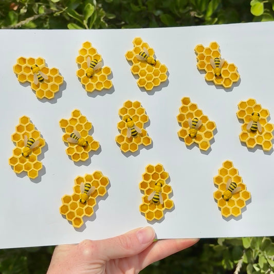 Honey Bee magnets