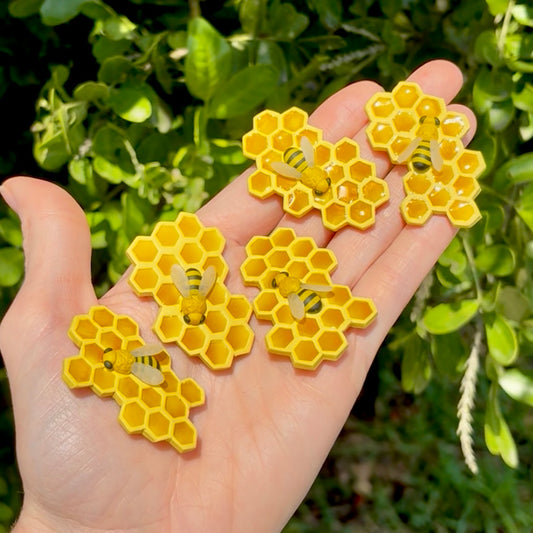 Honey Bee magnets